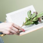 Polecane źródła wiedzy o ziołach, diecie i naturalnych terapiach