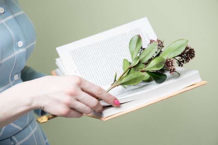 Polecane źródła wiedzy o ziołach, diecie i naturalnych terapiach